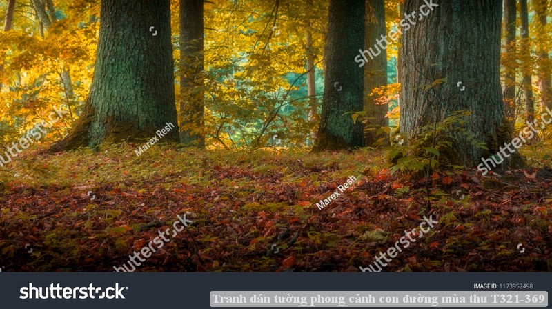 Tranh dán tường phong cảnh con đường mùa thu T321-369